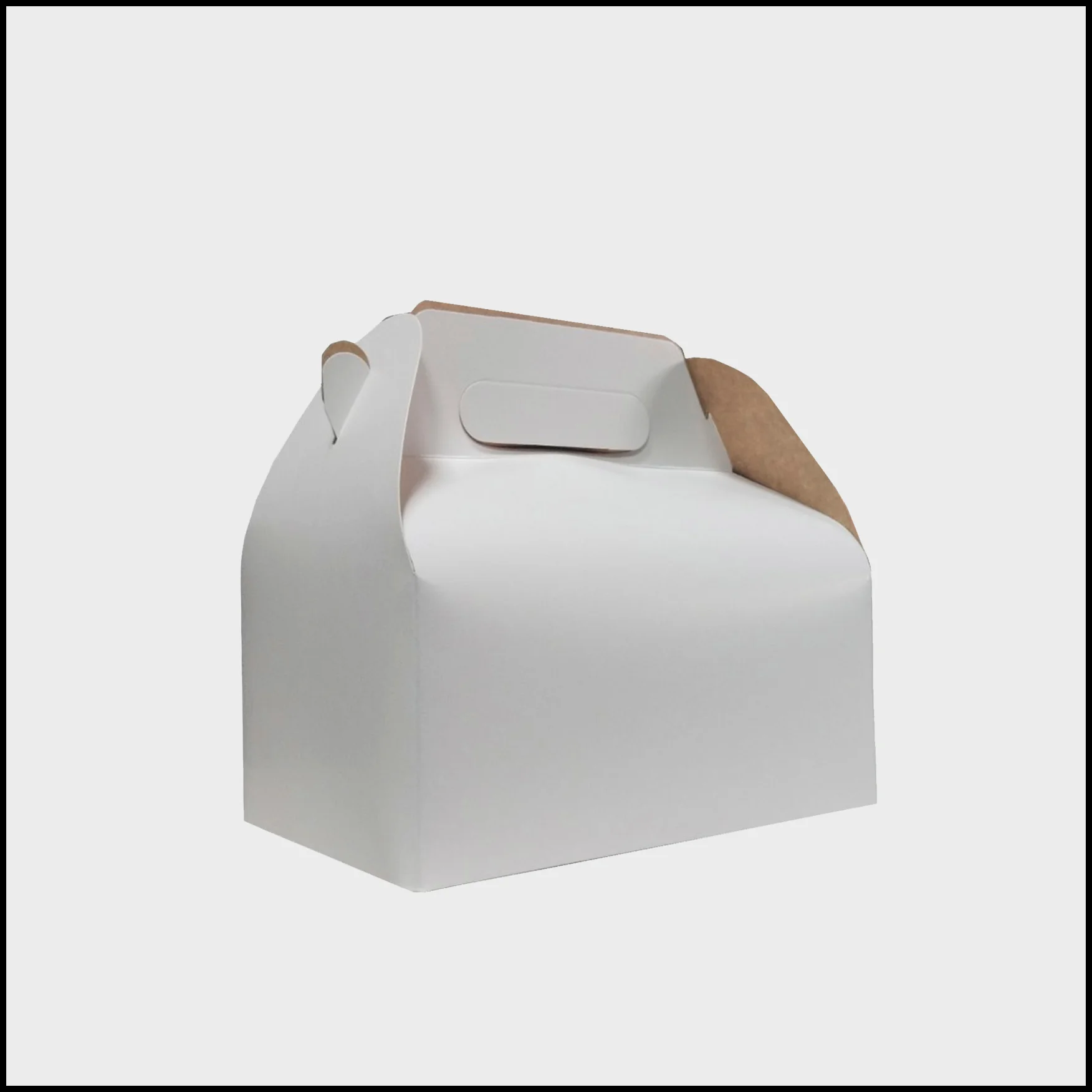 Chicken Carrier